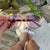 FREYRS Carter Tortoise Pink Sunglasses